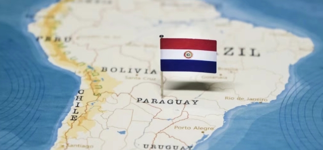 巴拉圭海关数据查询平台（附免费试用查询名额）